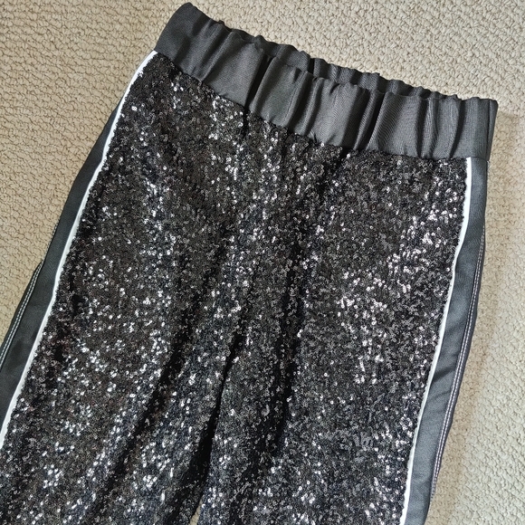 NOKAOI midnight jogger. Sequin embroidered jogger pant size S - Picture 5 of 7